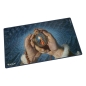 Preview: Ultimate Guard Play-Mat Magic: The Gathering "Tarkir: Dragonstorm" -  Mox Jasper